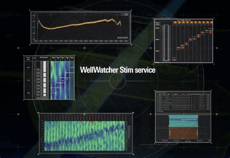 wellwatcher ps3